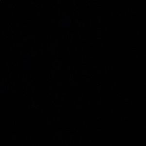 Meet your Posher, Cameron